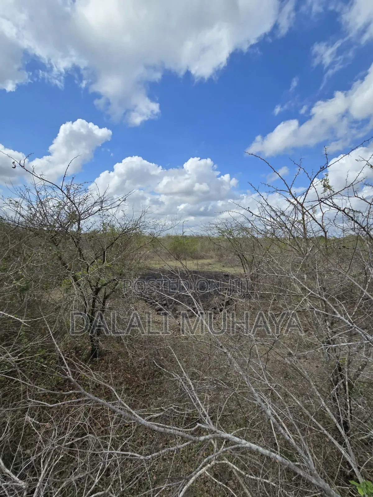Shamba L I N a U Z W a TSH 495,000,000 Milioni in Kiwangwa