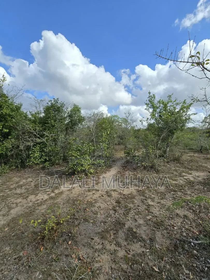 Shamba L I N a U Z W a TSH 495,000,000 Milioni in Kiwangwa