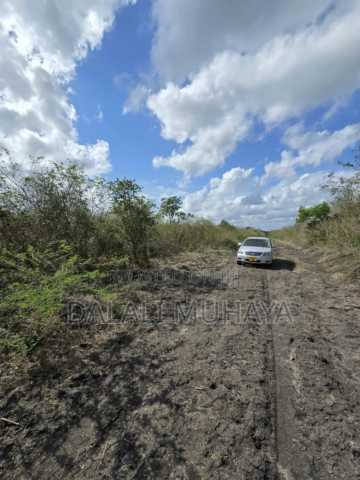 Shamba L I N a U Z W a TSH 495,000,000 Milioni in Kiwangwa