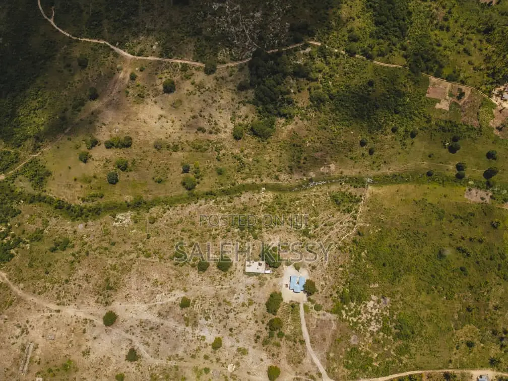 Kibamba Farm in Tambani