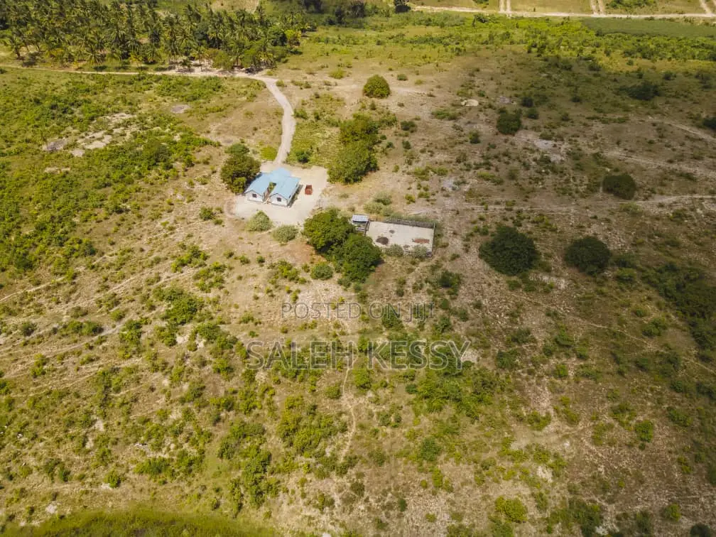 Kibamba Farm in Tambani