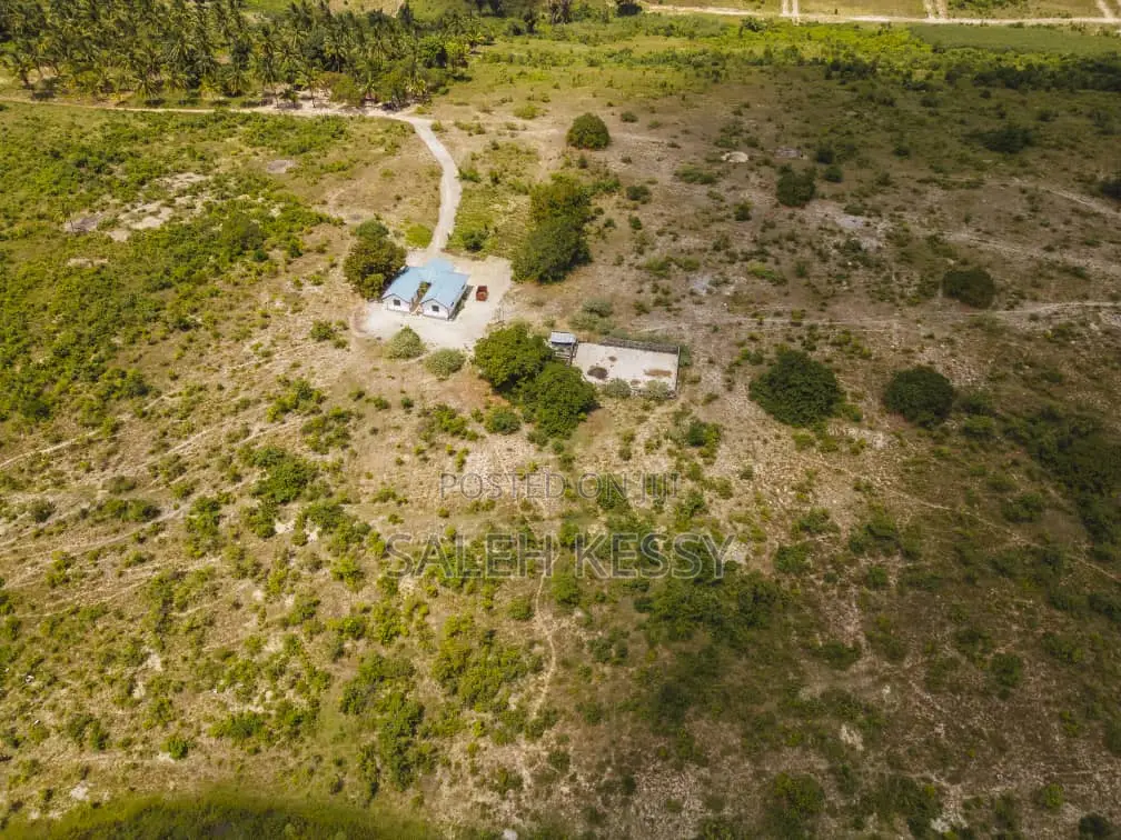 Kibamba Farm in Tambani