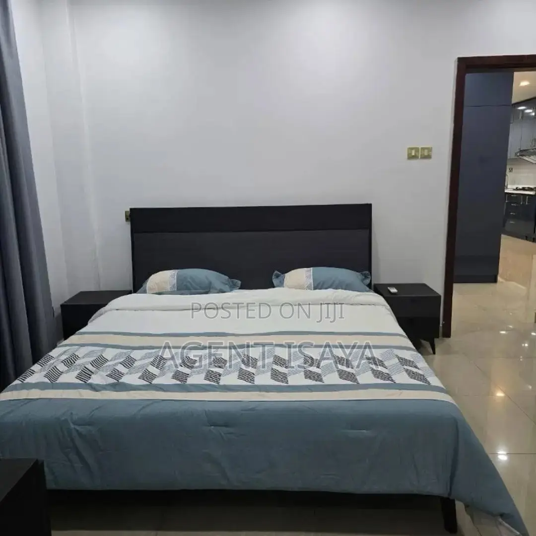 Furnished 2bdrm Apartment in Upanga East for rent in Upanga East