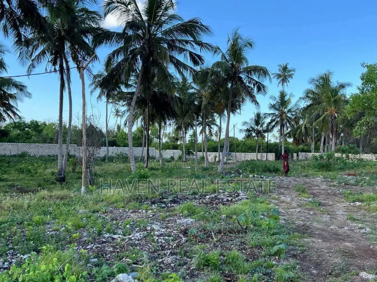 Beach Plot for Sale at Pongwe Zanzibar in Kati