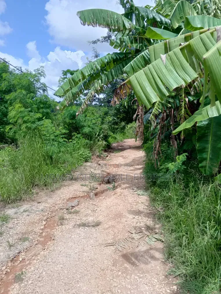 Farm for Sale at Mkuranga Kiparang'anda 70 Acres in Bupu