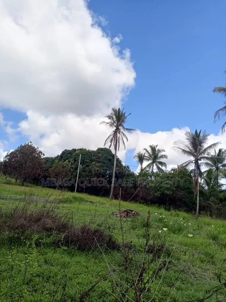 Farm for Sale at Mkuranga Kiparang'anda 70 Acres in Bupu