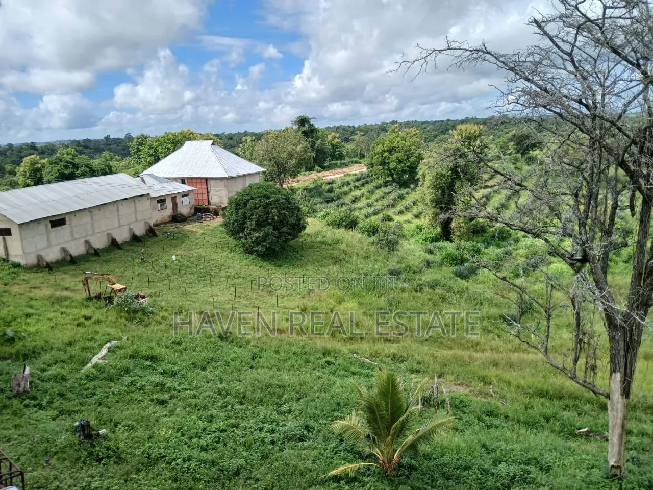 Shamba La Ekari 6000 Linauzwa Pangani in Pangani A (West)