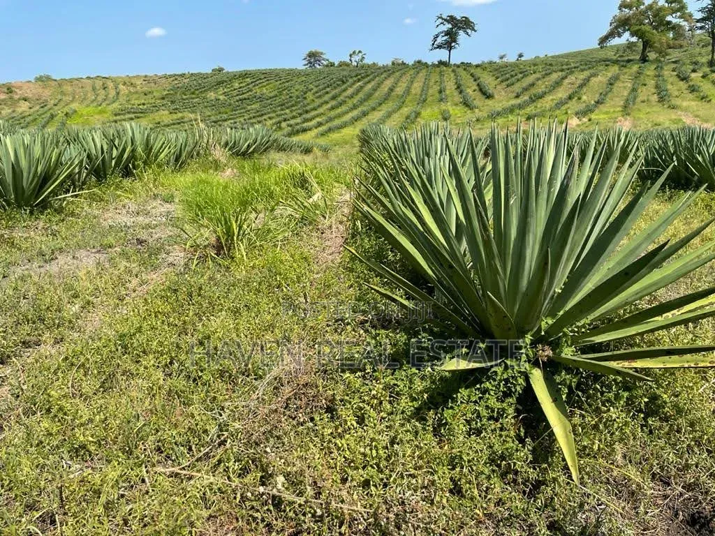 Shamba La Ekari 6000 Linauzwa Pangani in Pangani A (West)