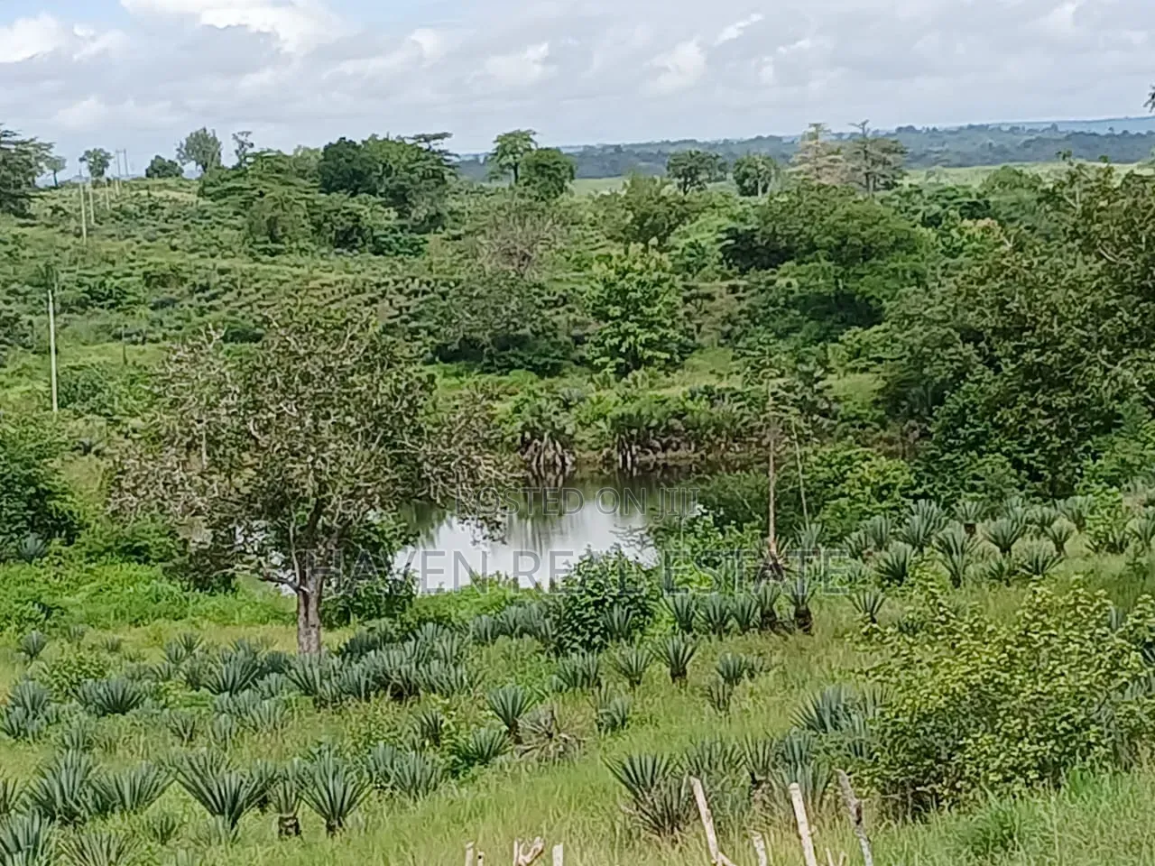 Shamba La Ekari 6000 Linauzwa Pangani in Pangani A (West)