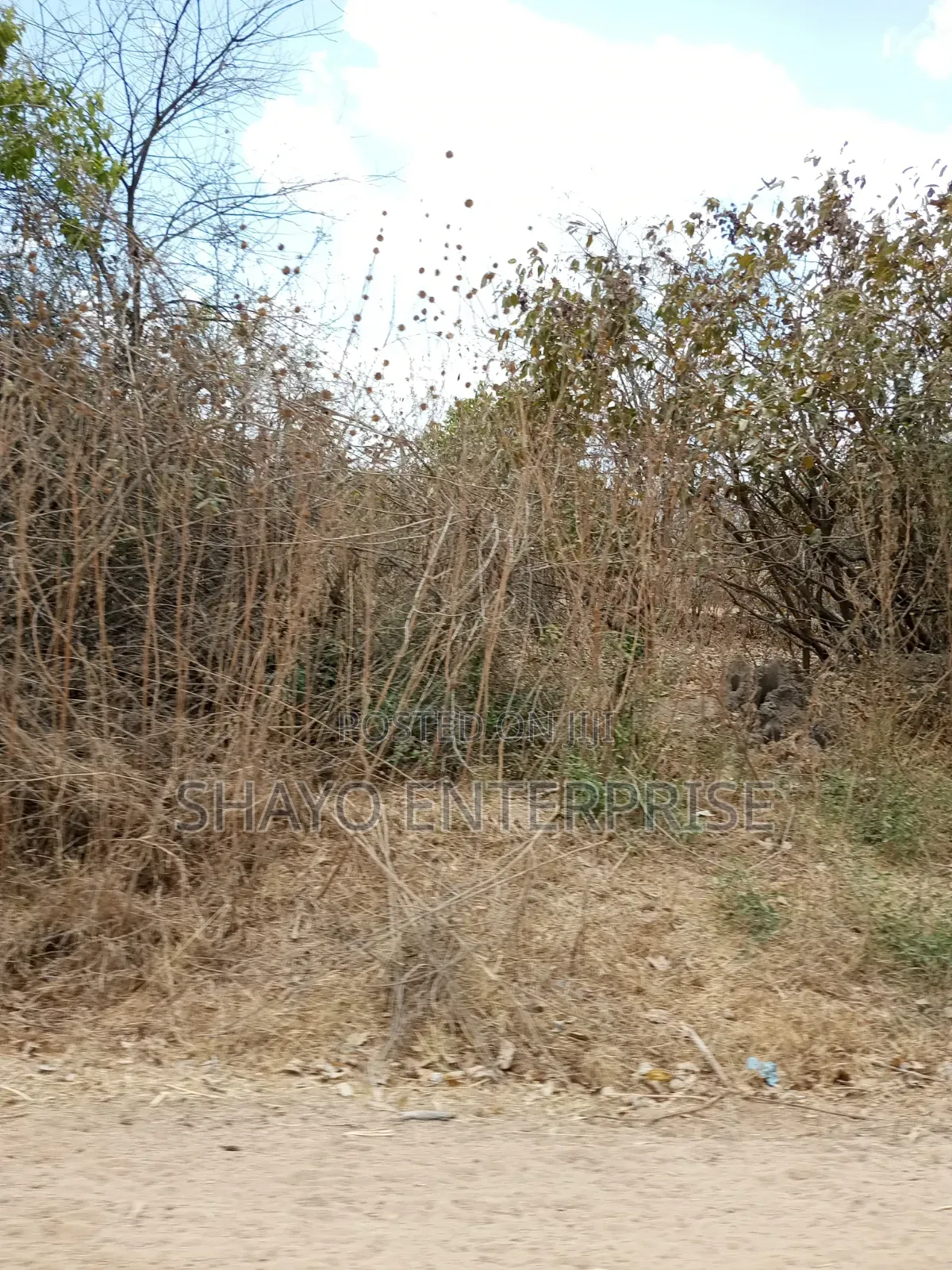Mashamba Yanauzwa Singida in Lalaji