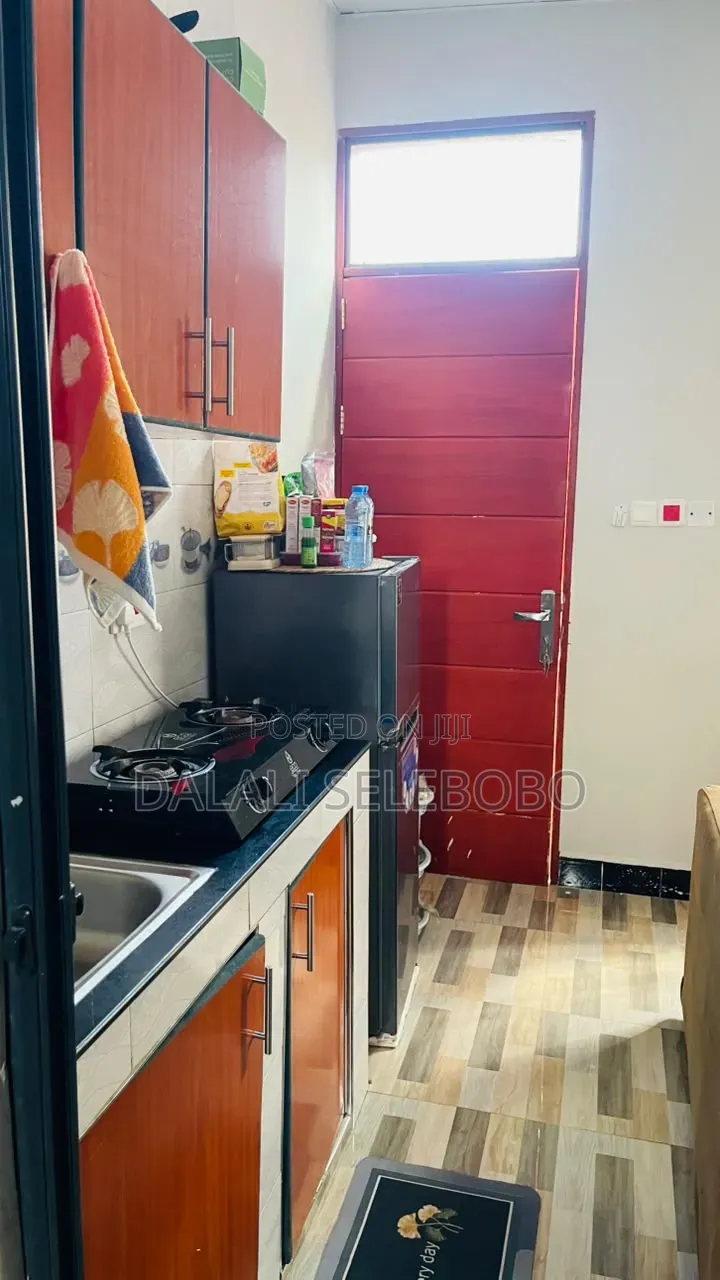 Furnished Mini Flat in Makumbusho Bus Stop, Kijitonyama for rent in Kijitonyama