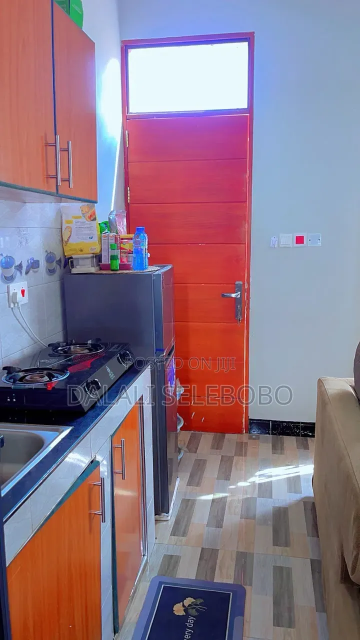 Furnished Mini Flat in Makumbusho Bus Stop, Kijitonyama for rent in Kijitonyama