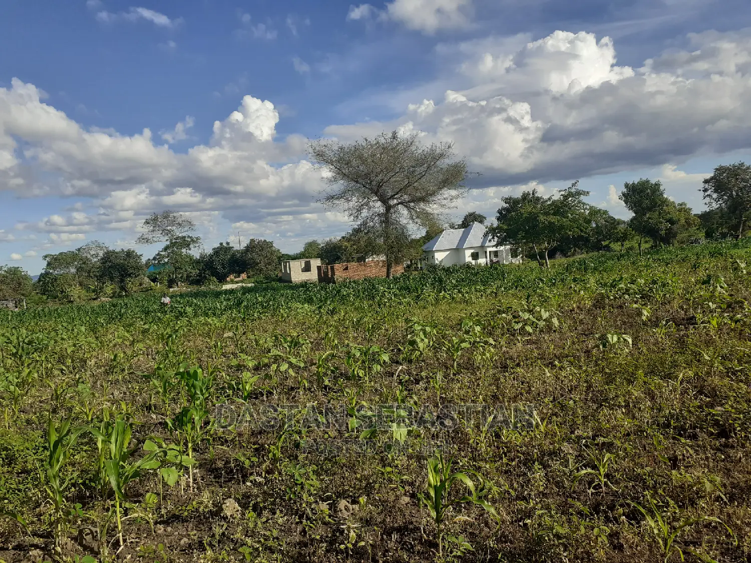 Viwanja Bora 20 Kwa 20 Bei Kuanzia Karibuni Sanaa in Arusha
