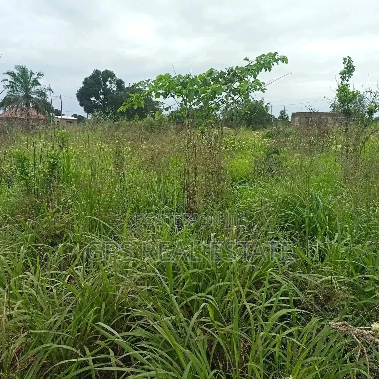 7mil ( Plot for Sale ) . in Kibaha