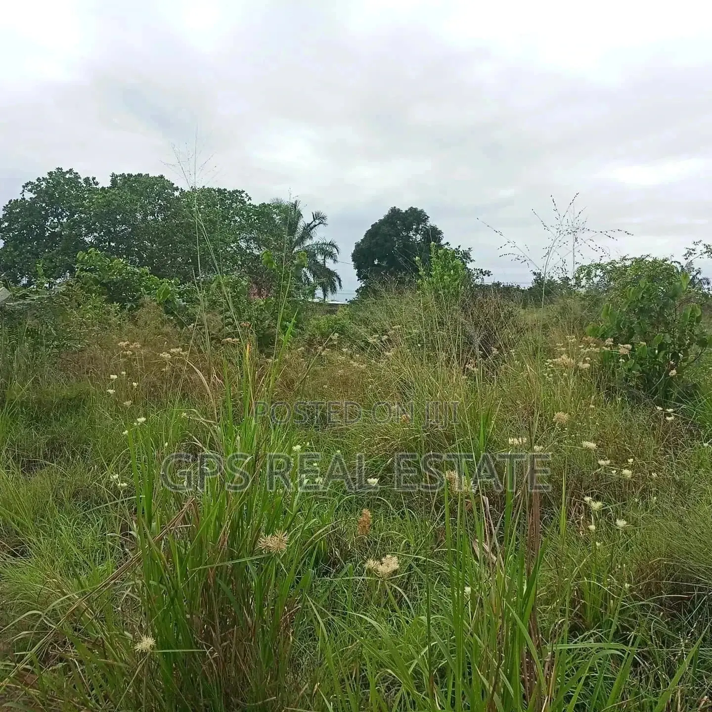 7mil ( Plot for Sale ) . in Kibaha