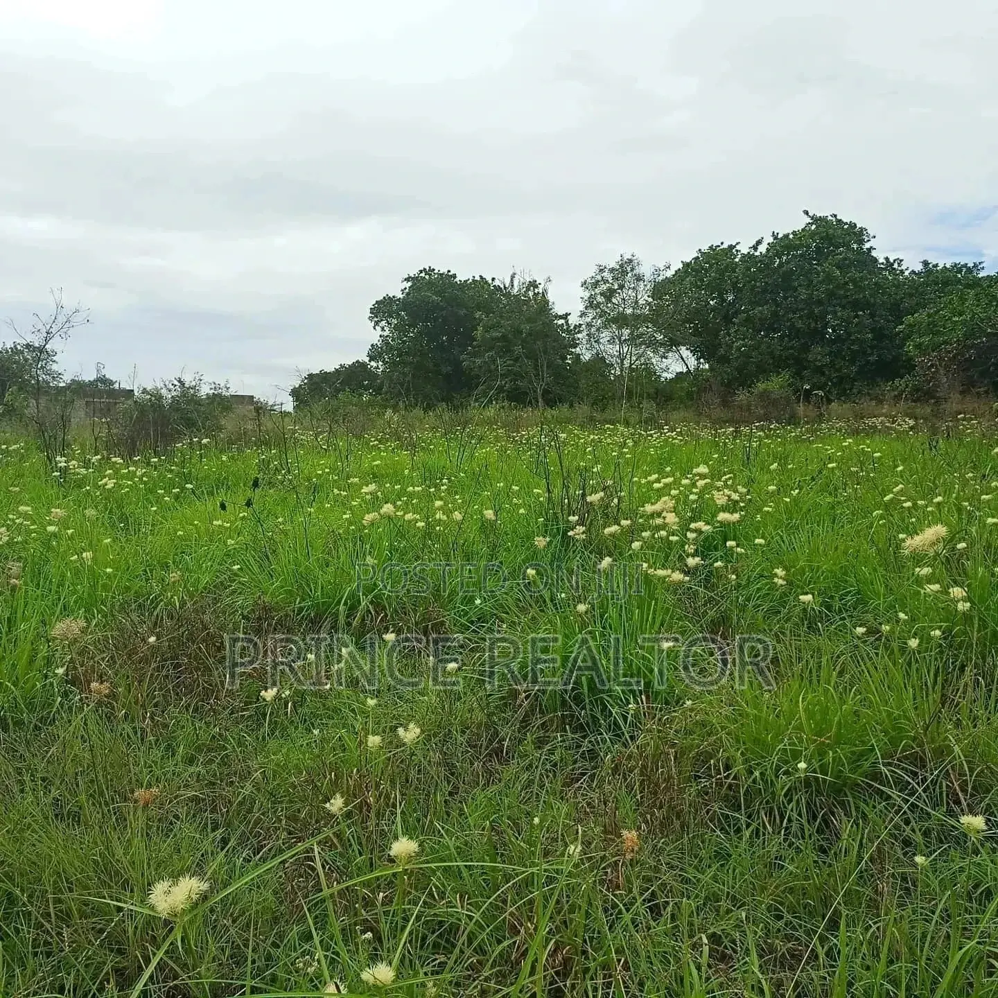 7mil ( Plot for Sale ) . in Kibaha