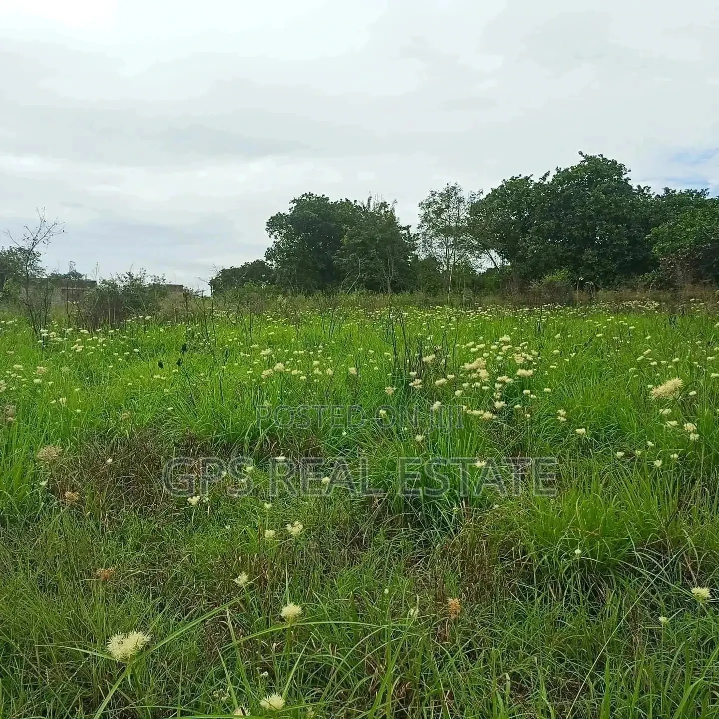 7mil ( Plot for Sale ) . in Kibaha
