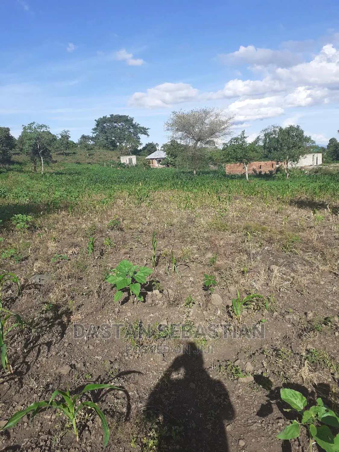 Viwanja Vya Makazi 20 Kwa 20 Bei Kuanzia 1.6M in Arusha