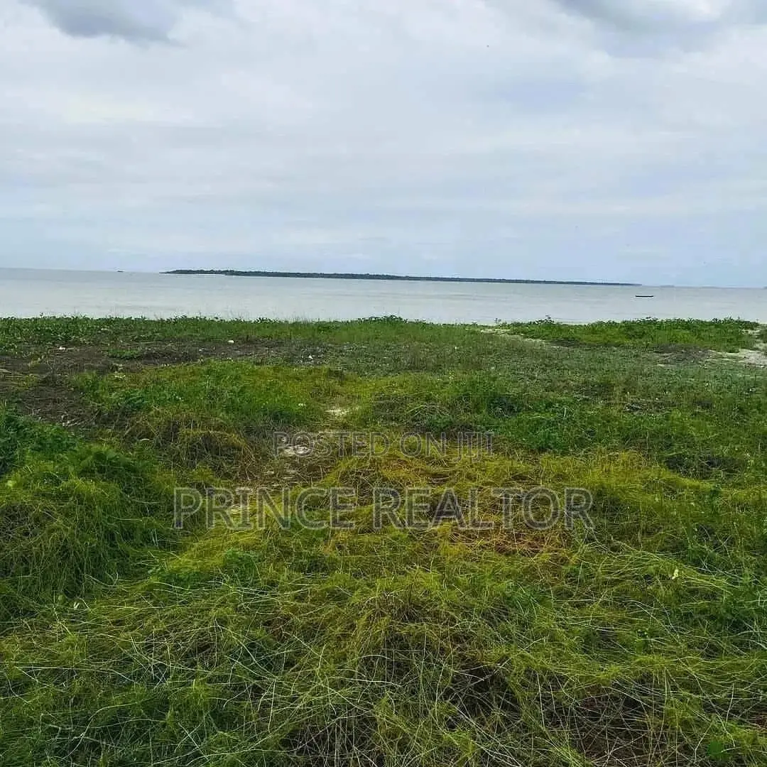 1.5bil ( Beach Plot for Sale ) in Kinondoni