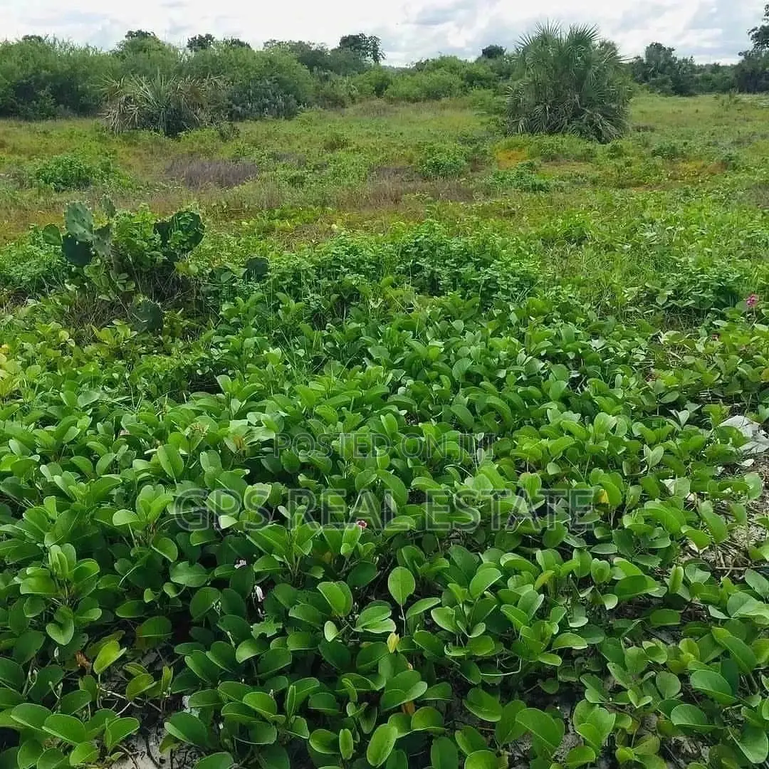 1.5bil ( Beach Plot for Sale ) in Kinondoni