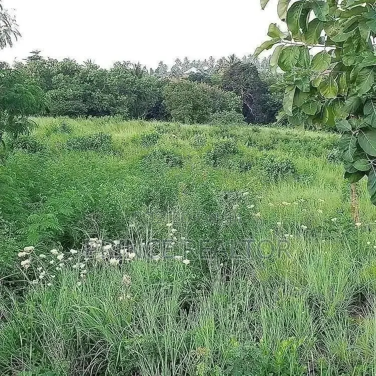 200mil (Land for Sale ) in Kinondoni