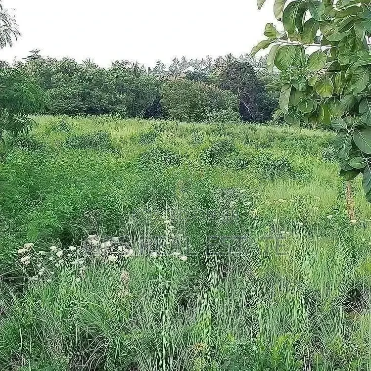 200mil (Land for Sale ) in Kinondoni