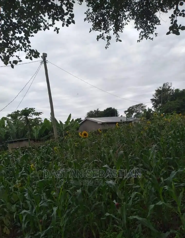 Mradi Mpya Wa Viwanja Karibuni in Arusha