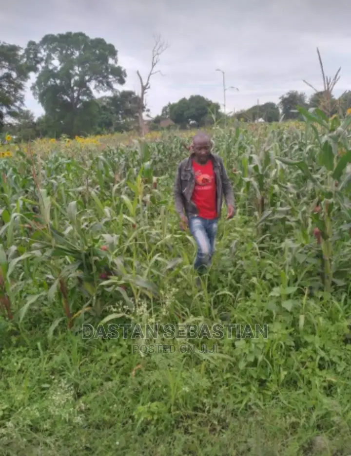 Viwanja Bora Kwa Bei Nafuu in Arusha