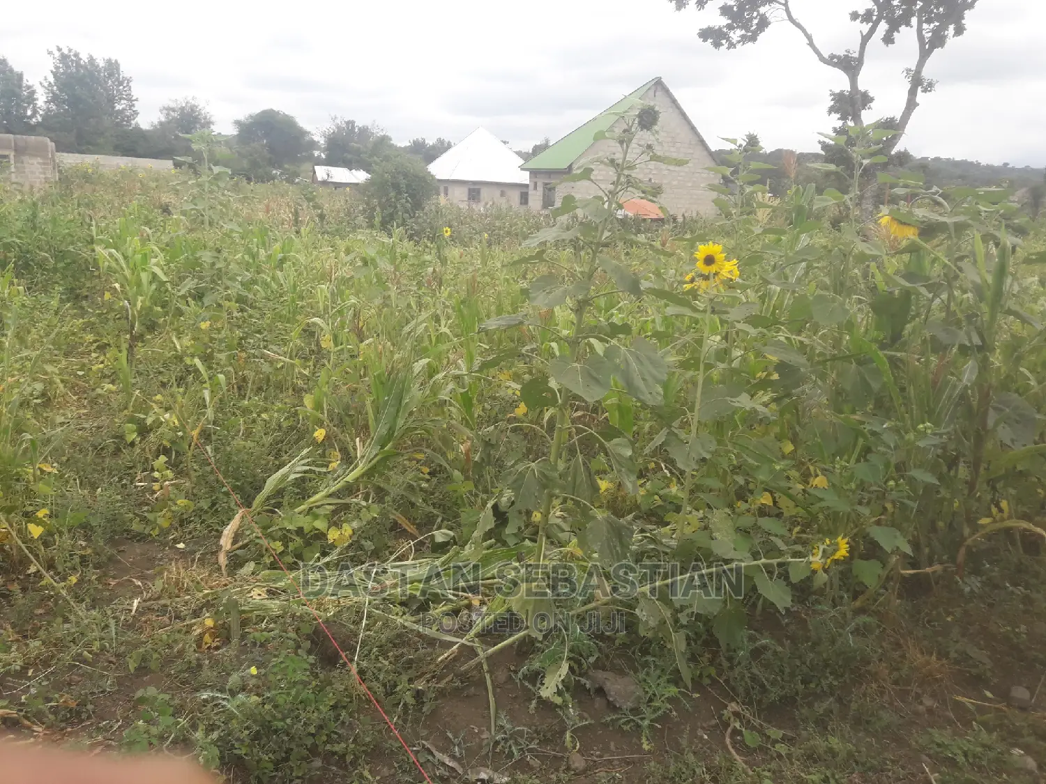 Viwanja Arusha Na Moshi in Arusha