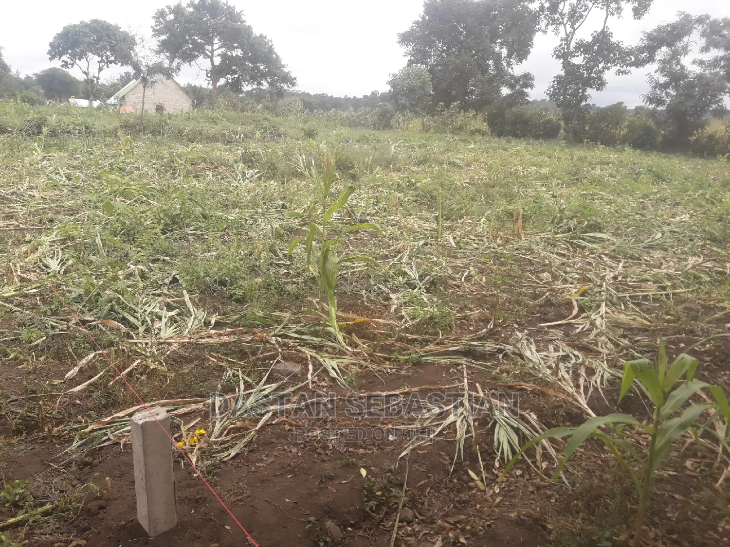 Viwanja Vya Biashara Na Makazi Arusha Na Kilimanjaro in Arusha