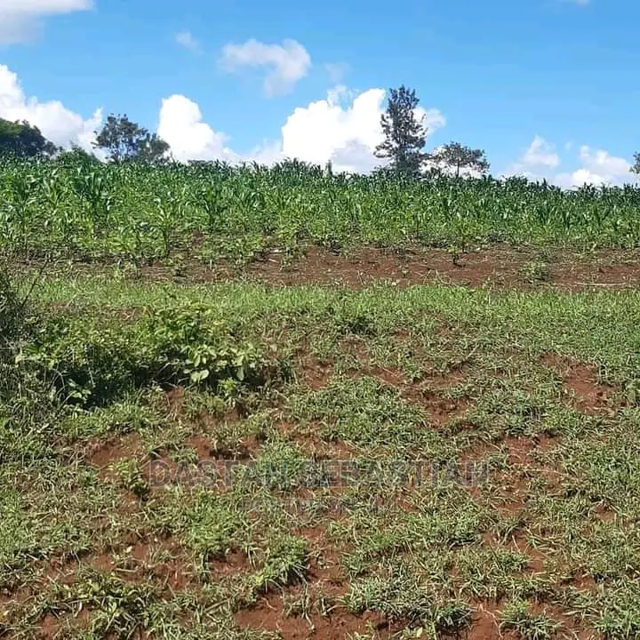 Viwanja Vya Biashara Na Makazi Arusha Na Kilimanjaro in Arusha