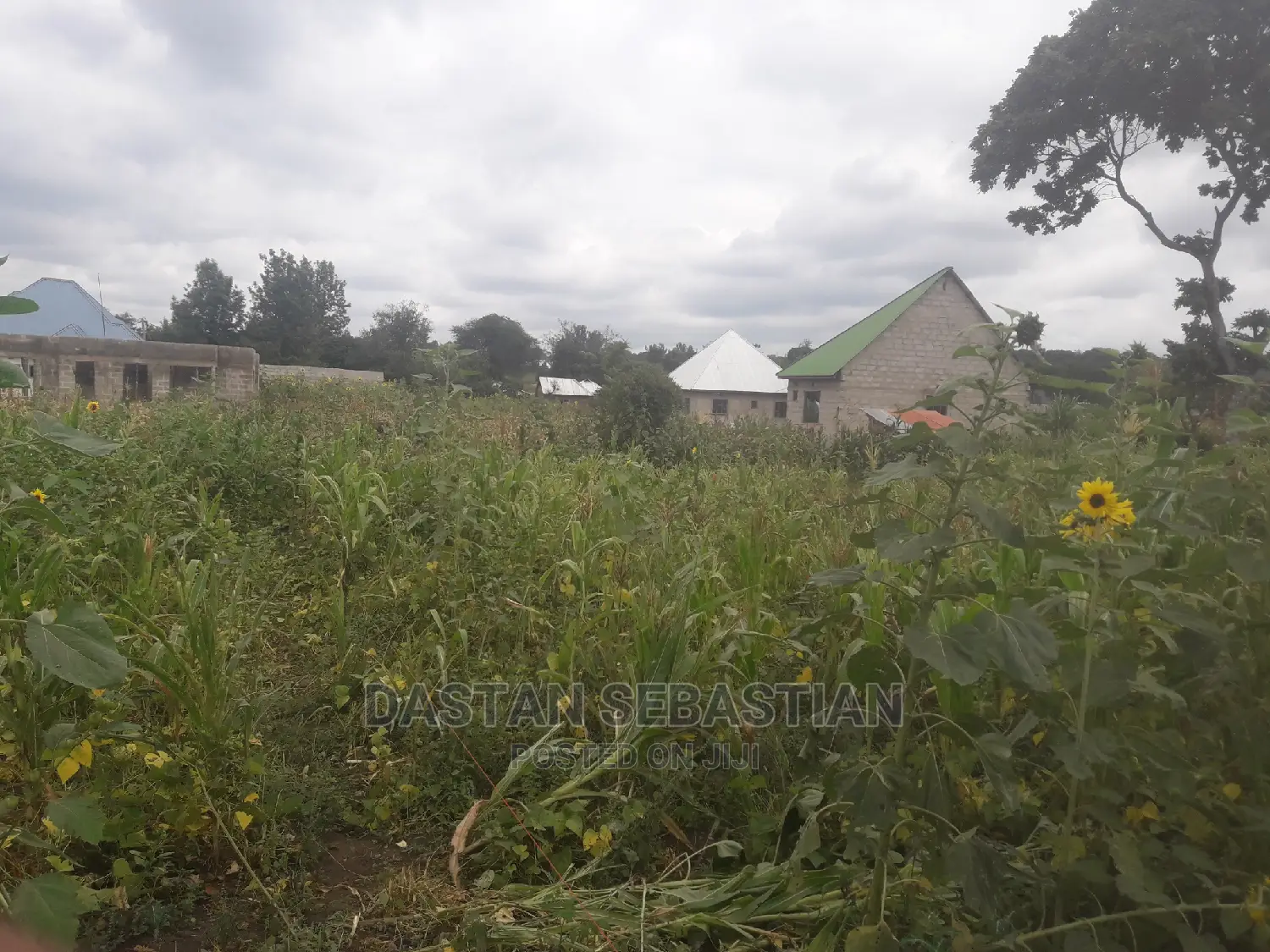 Viwanja Arusha Na Kilimanjaro Kwa Bei Nafuu in Arusha