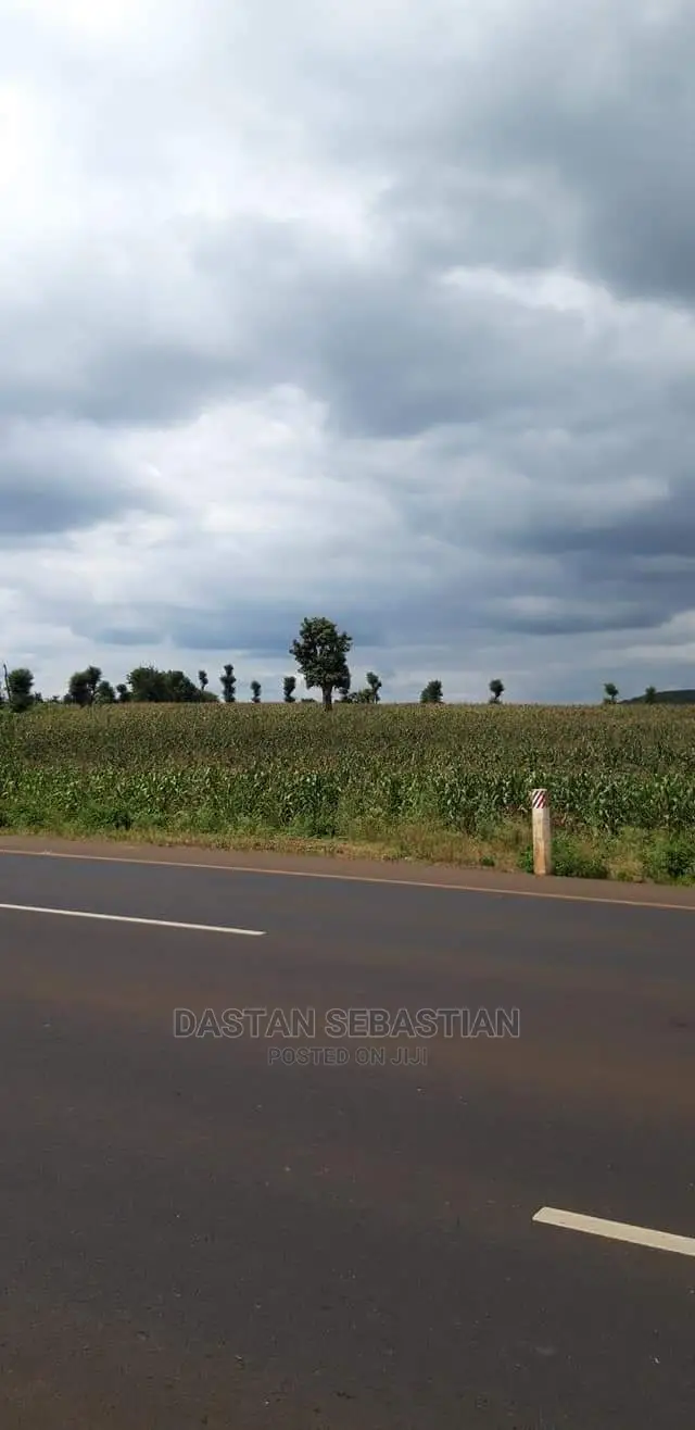 Viwanja Arusha Na Kilimanjaro in Arusha