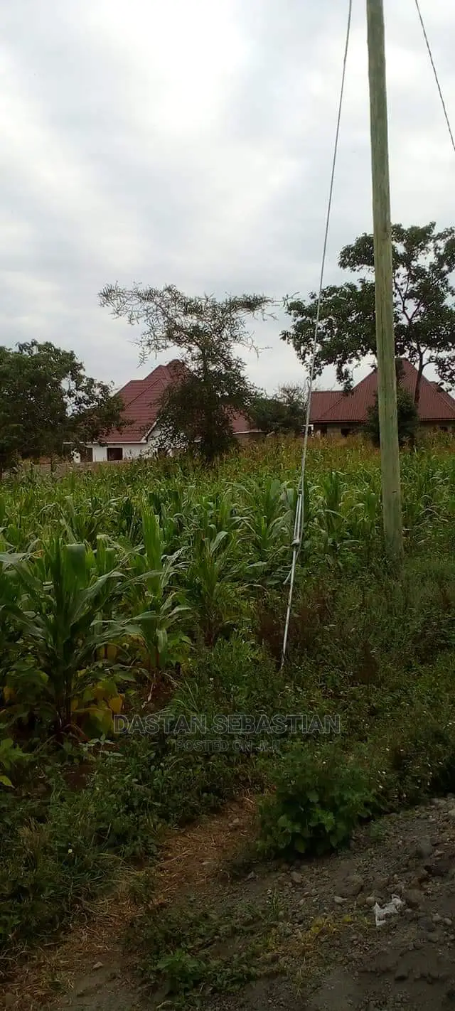 Viwanja Arusha Na Kilimanjaro in Arusha