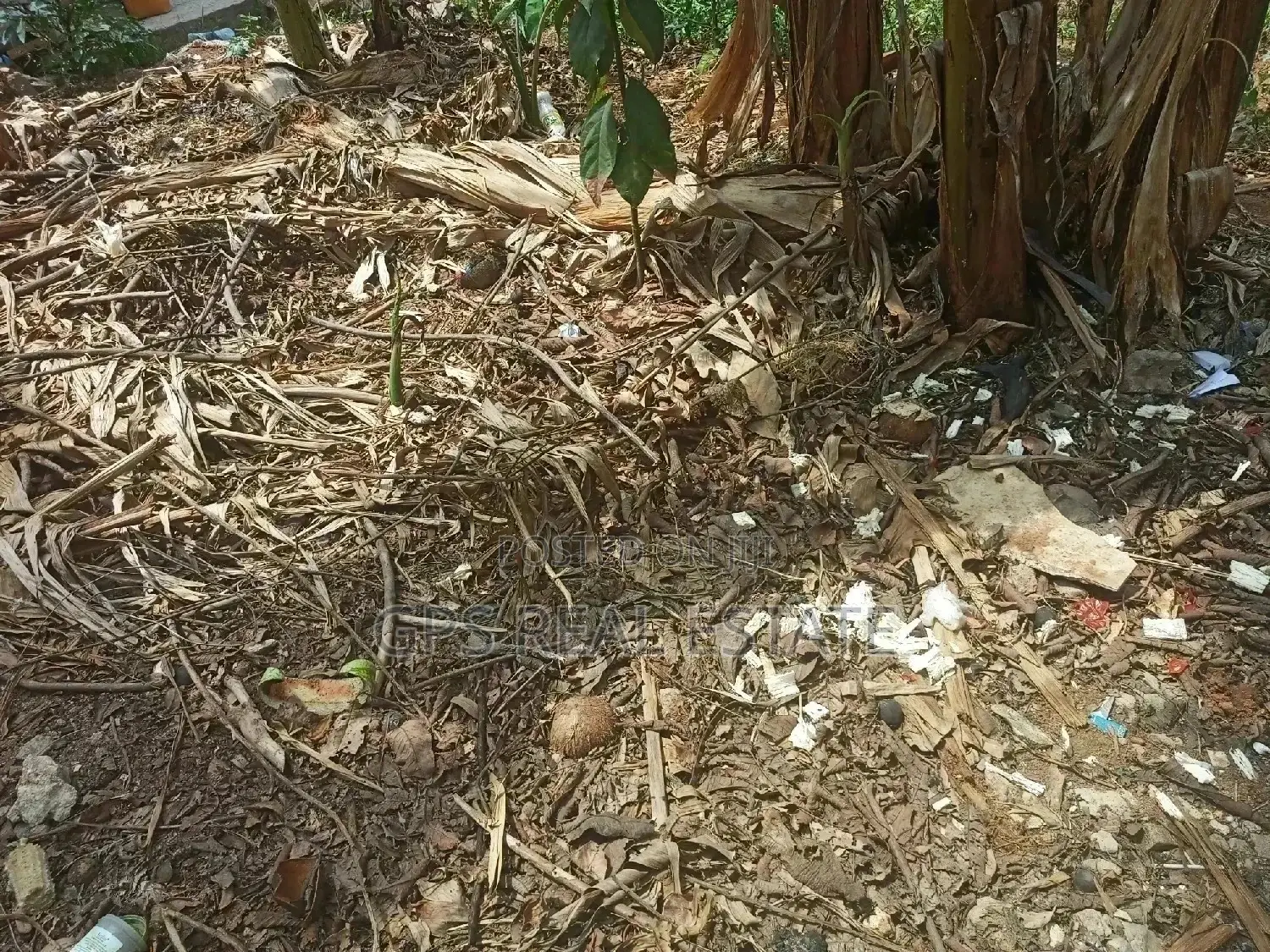 Farm Land for Sale at Mwasonga Kigamboni in Kigamboni