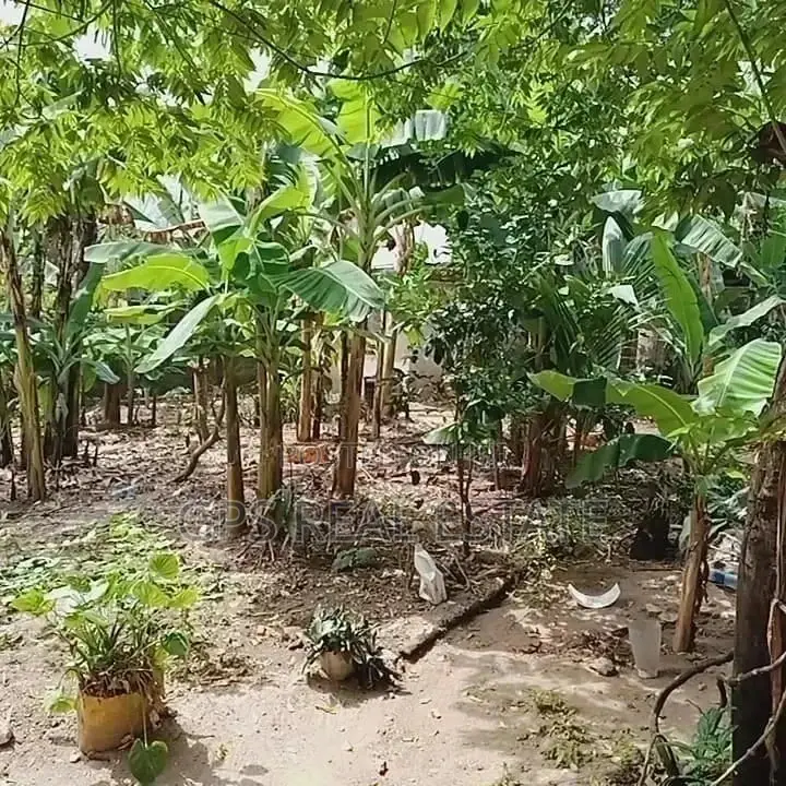 3bdrm House in Evans Mansa, Kinondoni for Sale in Kinondoni