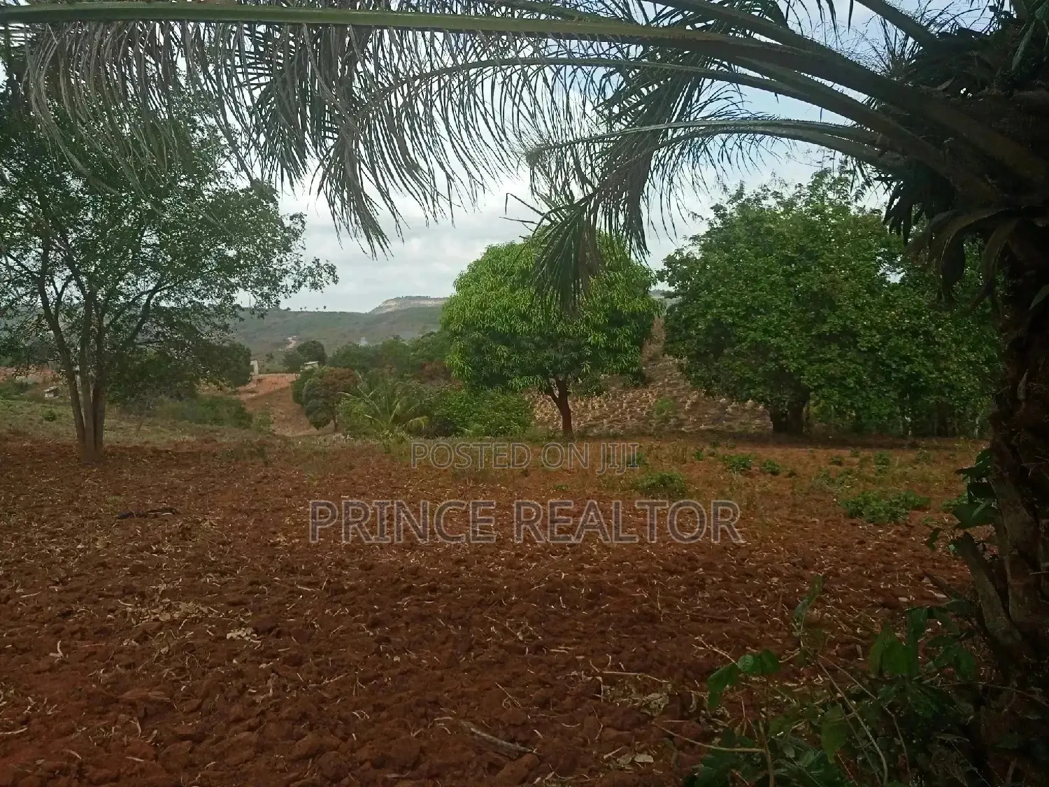Shamba Linauzwa ( Land for Sale 6 Acres ) in Kinondoni