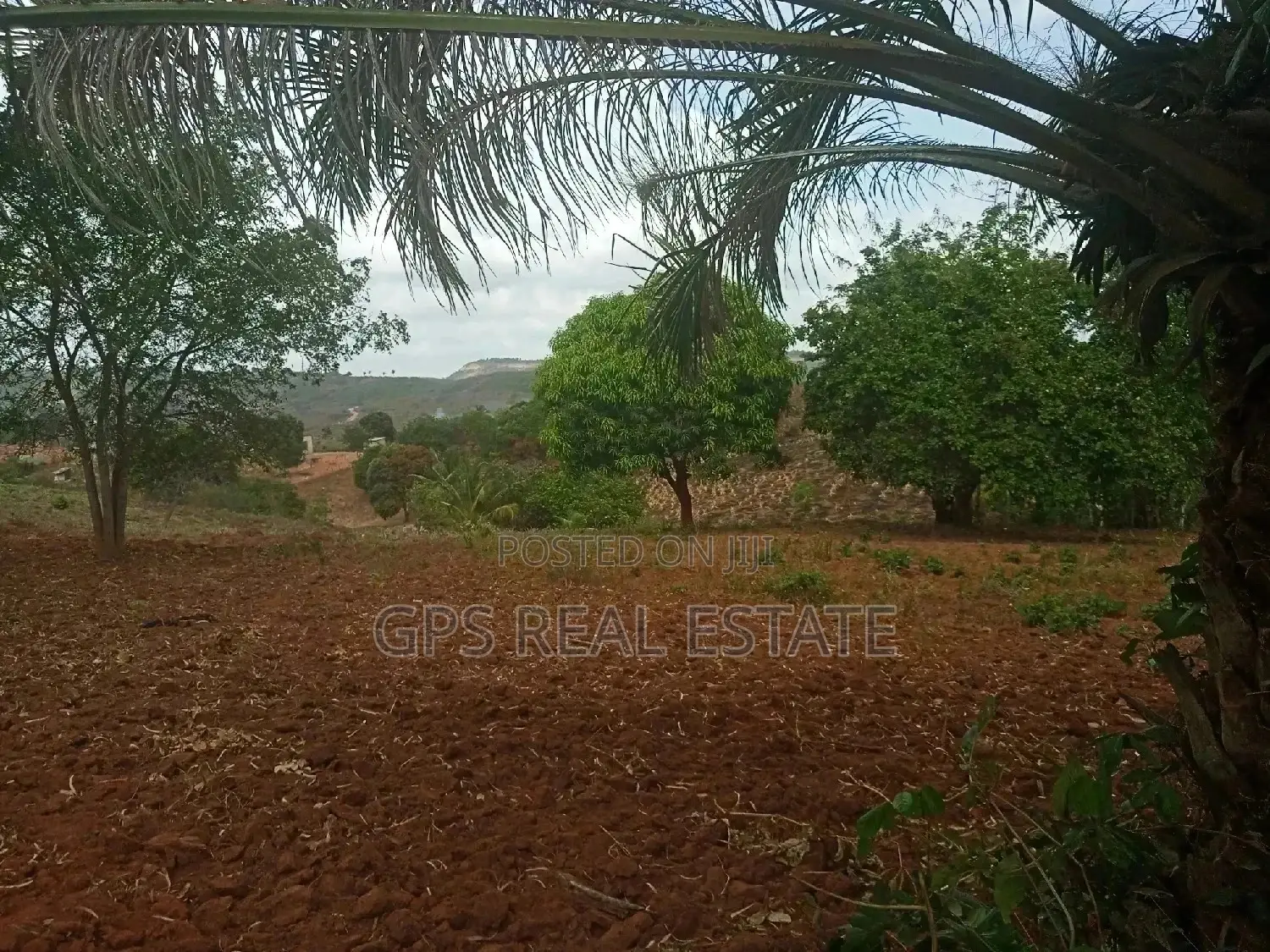 Shamba Linauzwa ( Land for Sale 6 Acres ) in Kinondoni