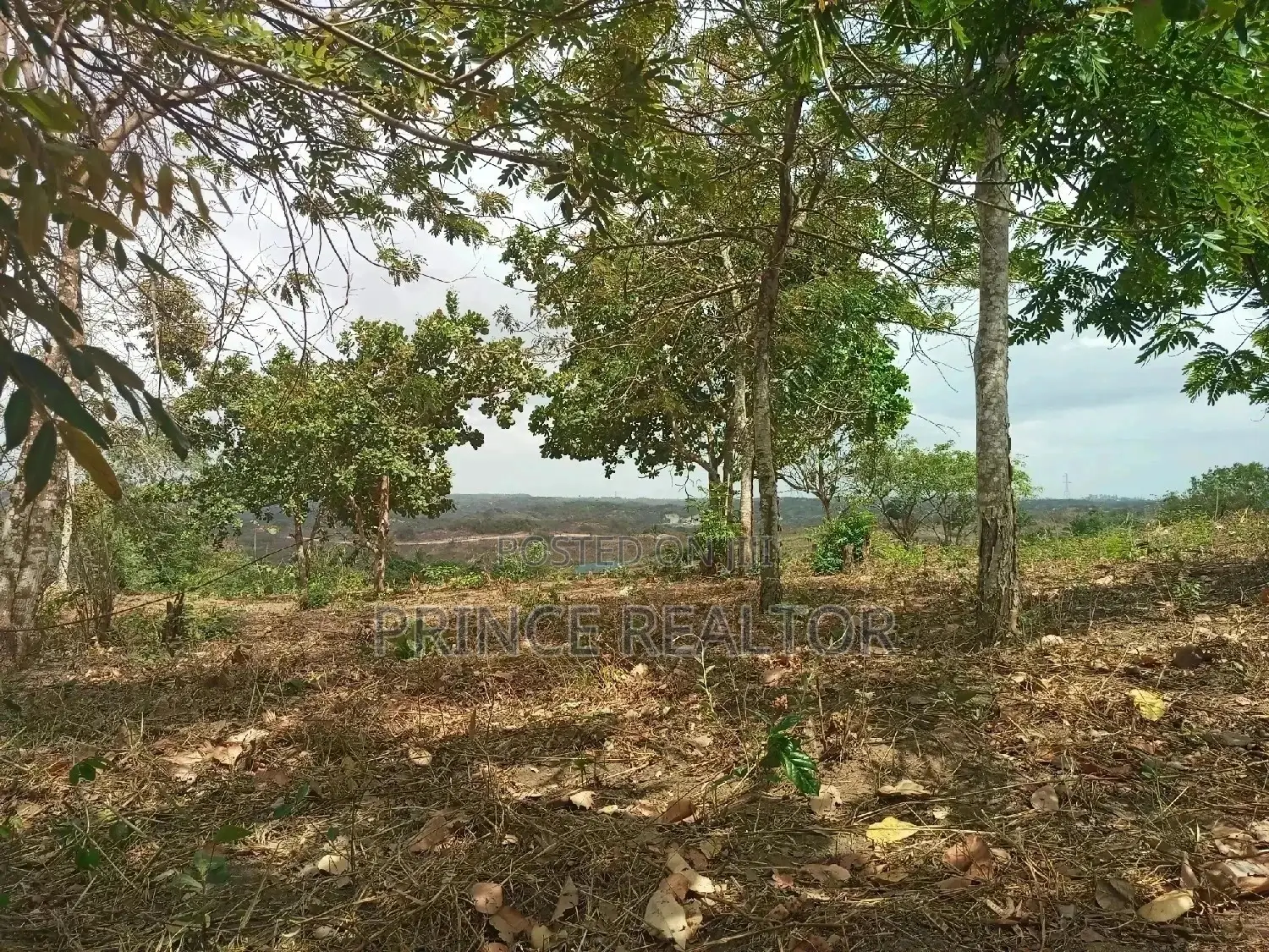 Shamba Linauzwa ( Land for Sale 6 Acres ) in Kinondoni