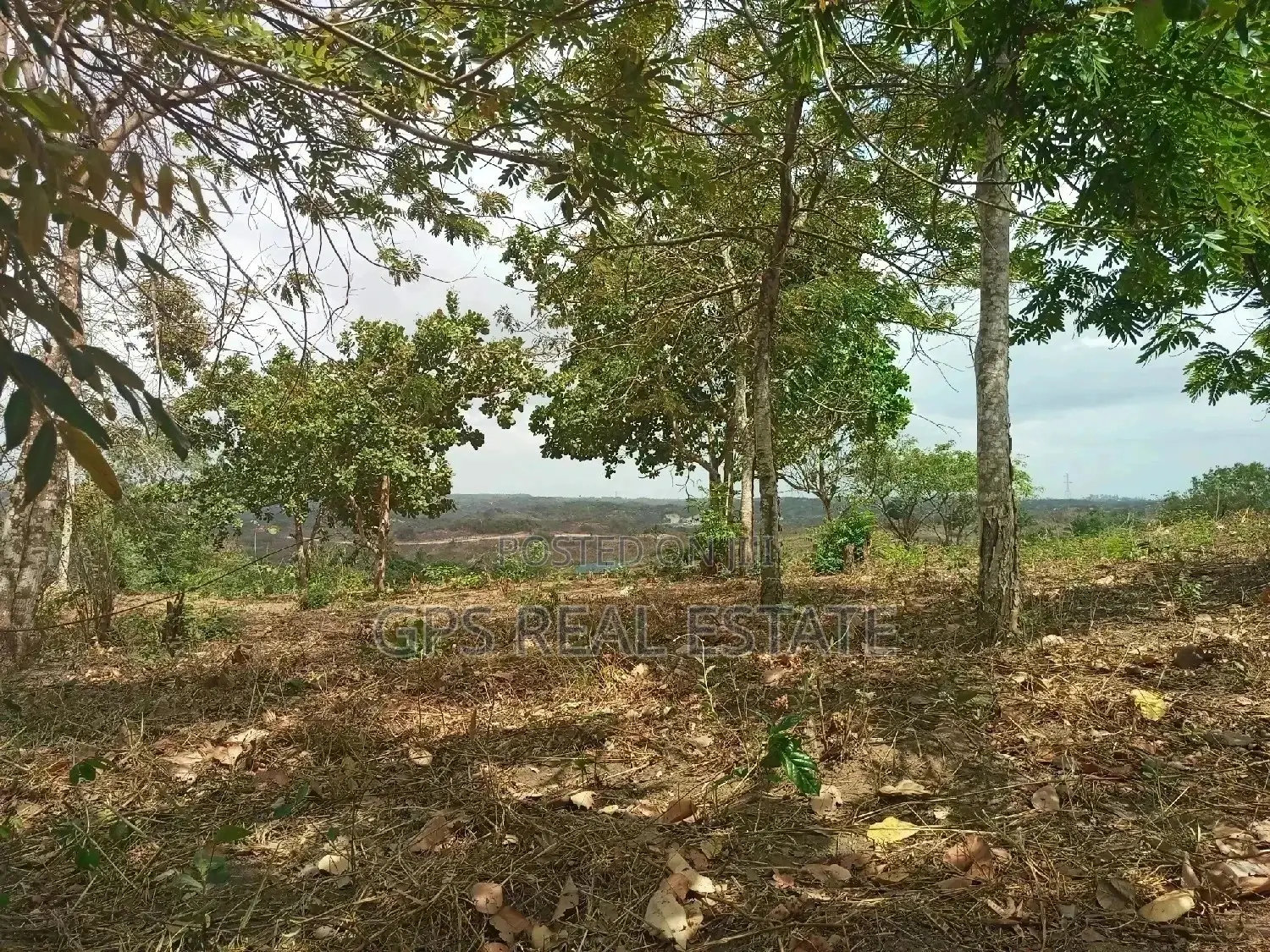 Shamba Linauzwa ( Land for Sale 6 Acres ) in Kinondoni
