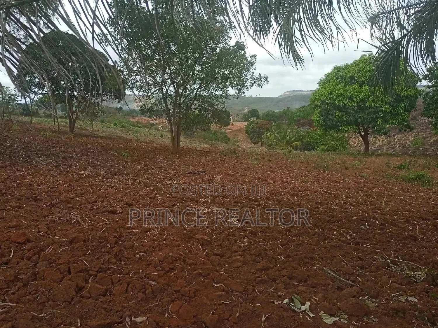 Shamba Linauzwa ( Land for Sale 6 Acres ) in Kinondoni