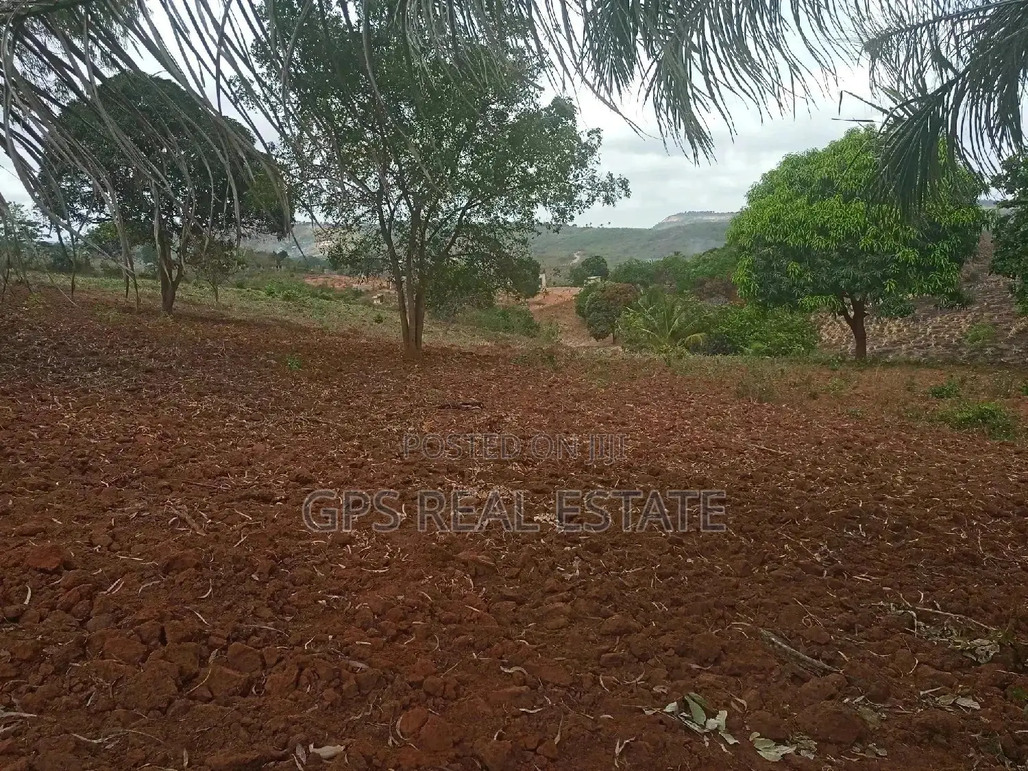 Shamba Linauzwa ( Land for Sale 6 Acres ) in Kinondoni