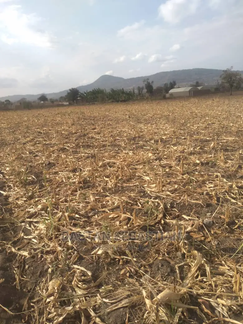 Viwanja Arusha Na Boma in Arusha
