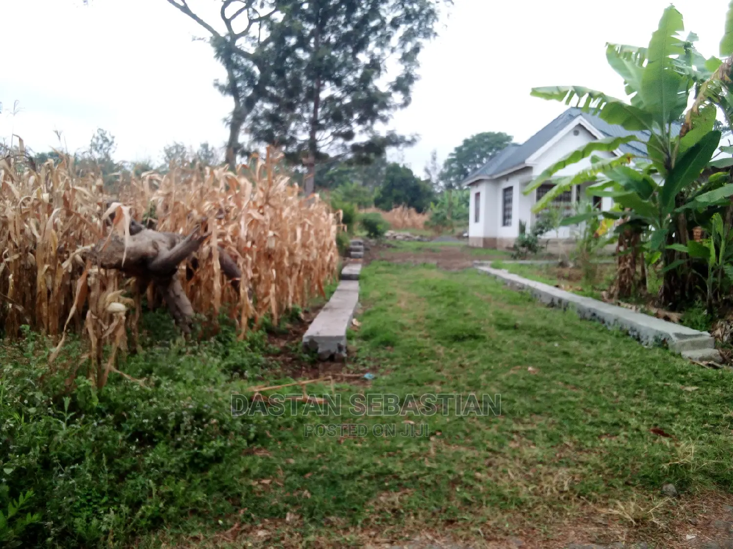 Jipatie Viwanja Arusha Na Boma Ng'ombe in Arusha