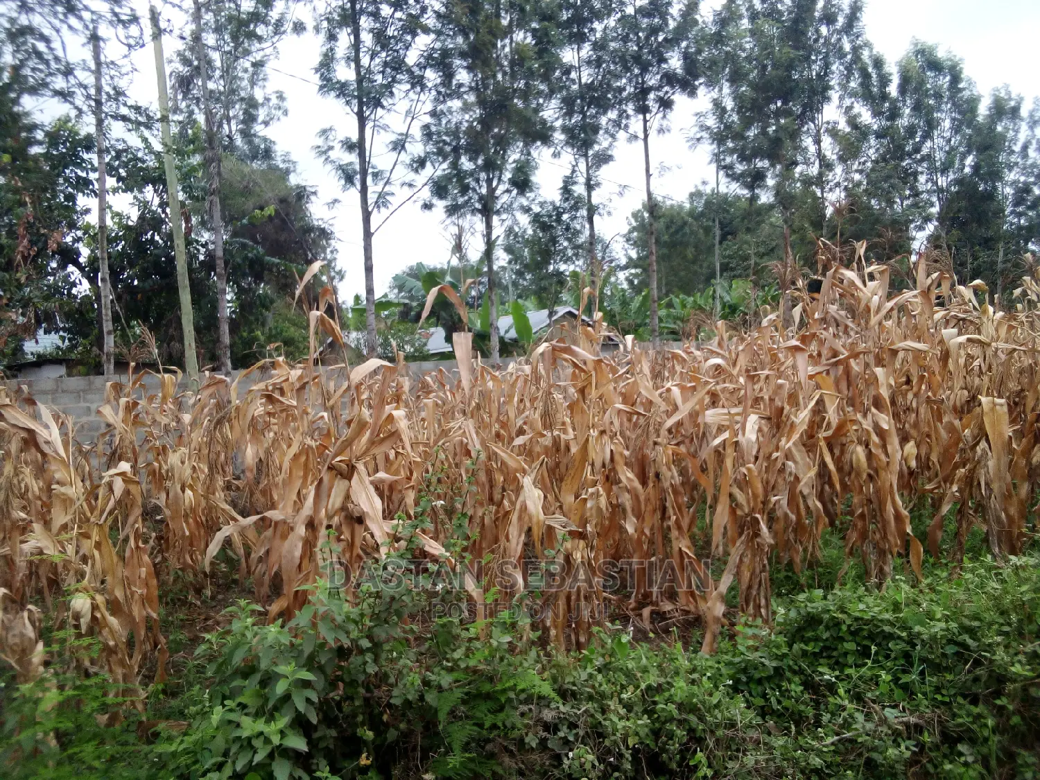 Vunja Bei Ya Viwanja Arusha in Arusha