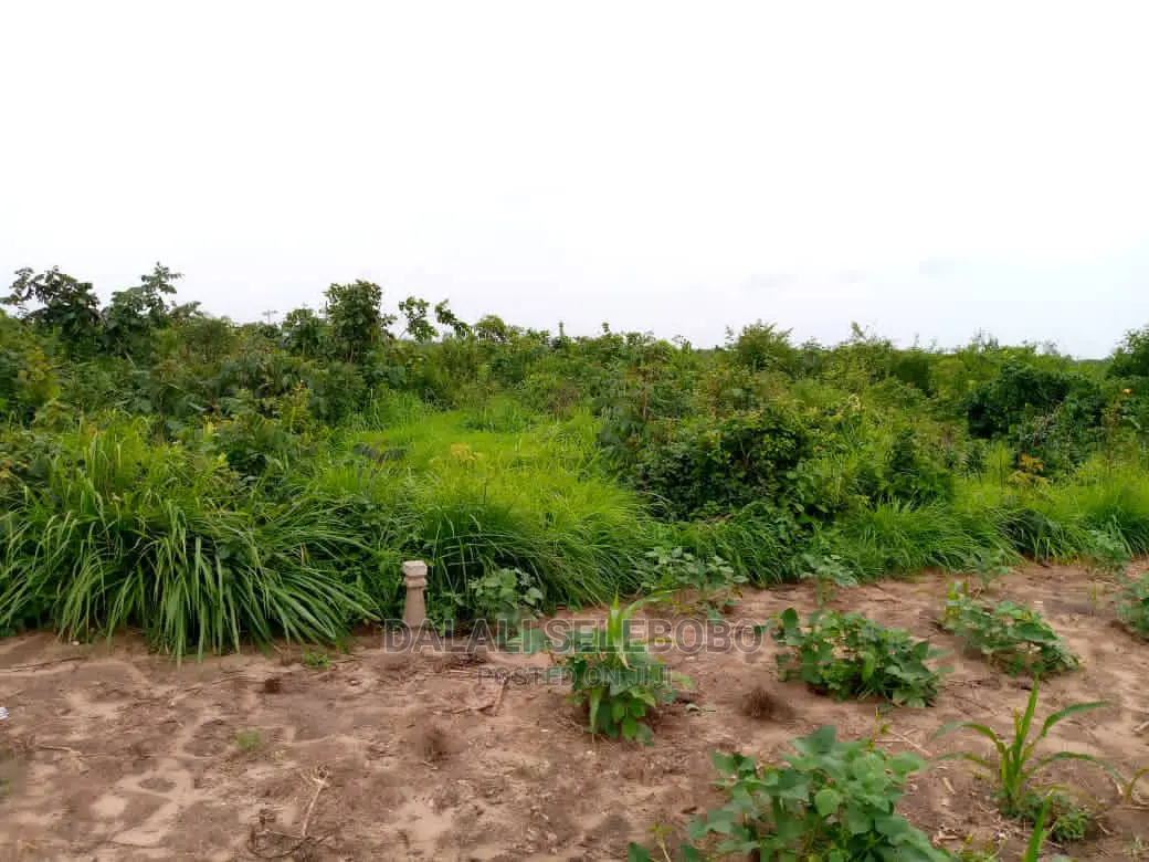 Kibaha Visiga Madafu in Visiga