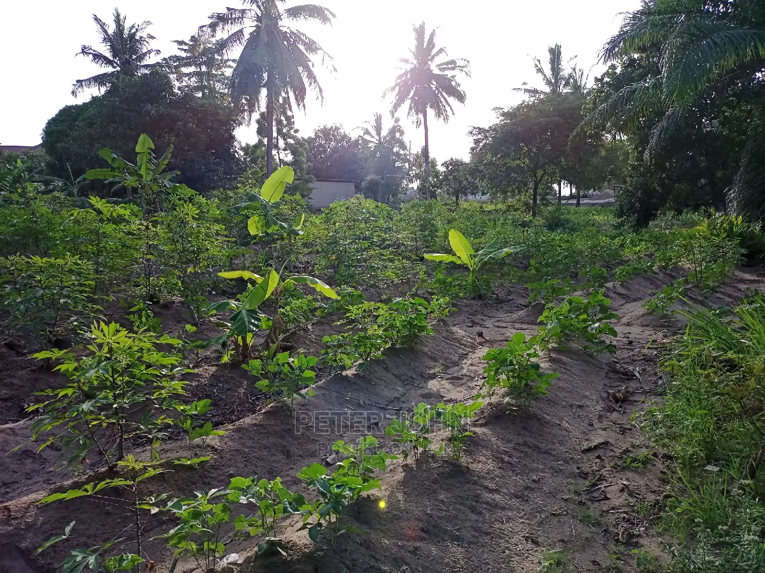 Kiwanja Tegeta A in Goba