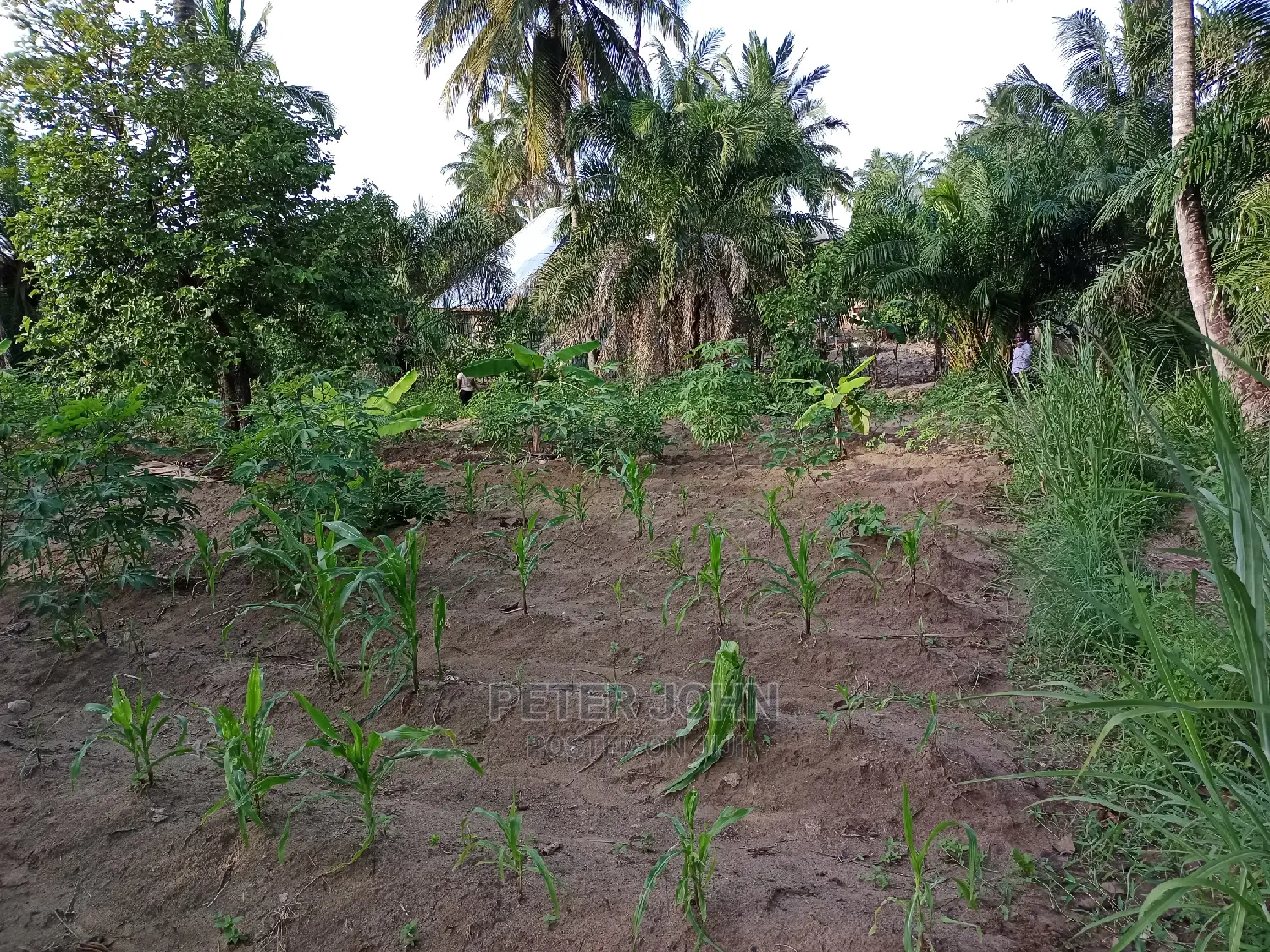 Kiwanja Tegeta A in Goba