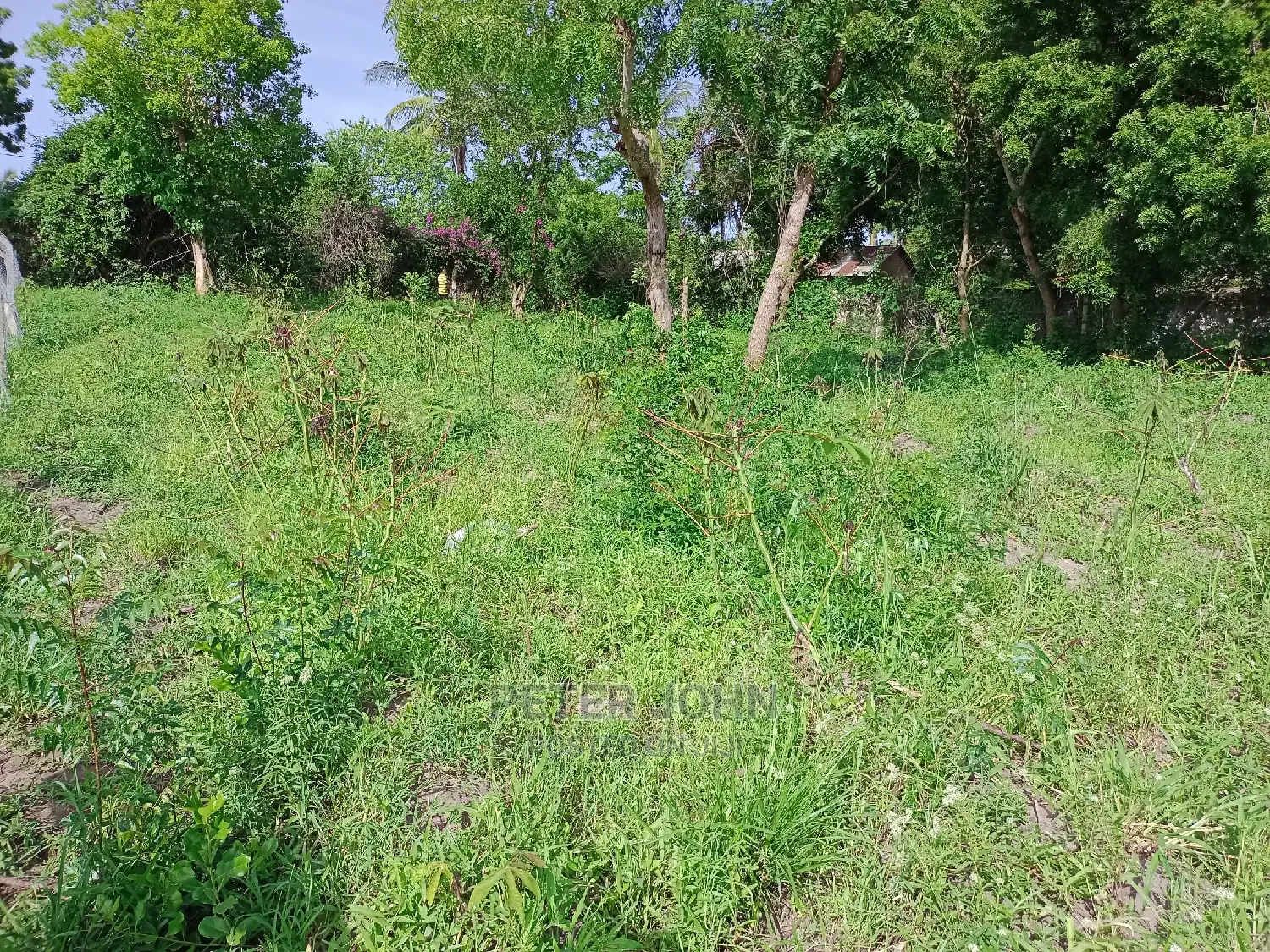 Kiwanja Tambarare in Goba