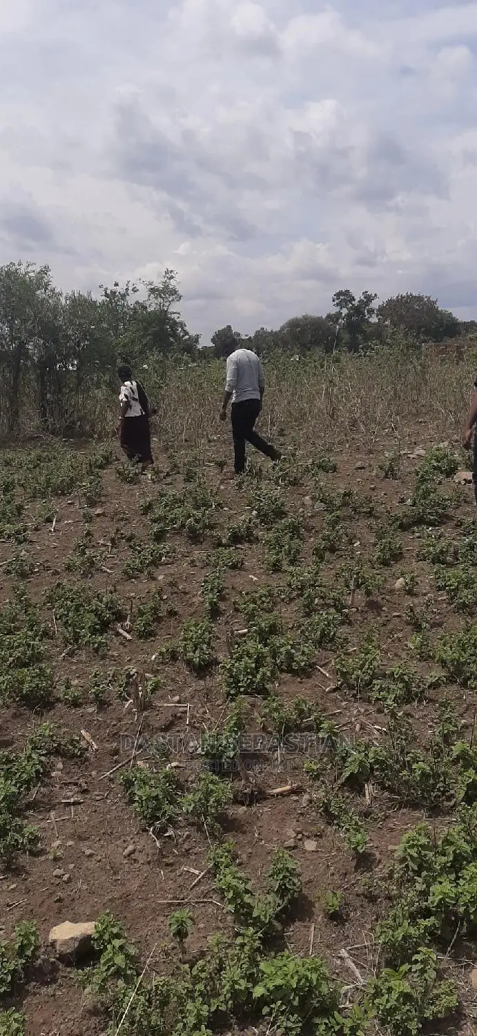 Miliki Viwanja Bora Vilivyopimwa Na Serikali in Arusha